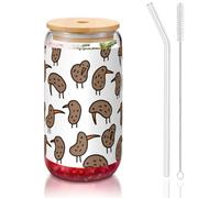 OKFSTY Kiwi Birds Cute Printing 16oz Drinking Glasses Set for Coffee Accessories Iced Beer Cups,Glass Cup Reusable for Gifts