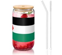 OKFSTY Palestine Flag Printing 16oz Drinking Glasses Set for Coffee Accessories Iced Beer Cups,Glass Cup Reusable for Gifts