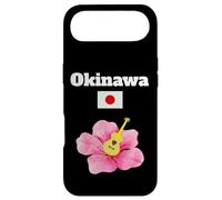 Okinawa souvenir hibiscus flower lover guitar Japanese flag Case for iPhone Air
