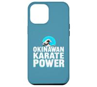 Okinawan Karate Case for iPhone 12 Pro Max