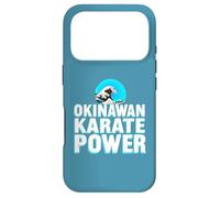 Okinawan Karate Case for iPhone 17 Pro