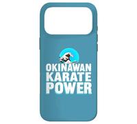 Okinawan Karate Case for iPhone 17 Pro Max