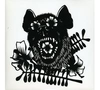 Okkervil River - Rider