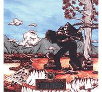 OKKERVIL RIVER - SILVER GYMNASIUM, THE (VINYL) (1 LP)