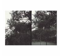 Okkyung Lee - just like any other day (어느날) : background music for your mundane activities [VINYL]