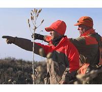 Oklahoma Public Land Quail