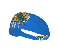 Oklahoma State Flag Printing Double-Sided,Unisex Elastic Sports Headband,Ideal As A Gift for Sports-Loving Friends,Family