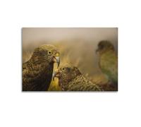 OKNGB Animal Bird Poster Alpine Parrot Decorative Painting Canvas Art Picture 20x30inch(50x75cm)