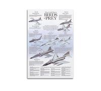 OKNGB Cold War Fighter Poster F-80 T-33 F-84 F-5 F-4 A-7d F-86 F-104 Poster Decorative Painting Canvas Wall Posters And Art Picture Print Modern Family Bedroom Decor Posters 20x30inch(50x75cm)