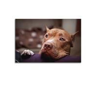 OKNGB Cute Pet Dog Poster American Pit Bull Terrier Poster Decorative Painting Canvas Wall Posters And Art Picture Print Modern Family Bedroom Decor Posters 12x18inch(30x45cm)
