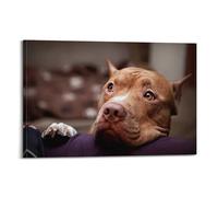 OKNGB Cute Pet Dog Poster American Pit Bull Terrier Poster Decorative Painting Canvas Wall Posters And Art Picture Print Modern Family Bedroom Decor Posters 20x30inch(50x75cm)