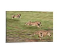 OKNGB Feline Predator Poster Africa Cheetah Dash Poster Decorative Painting Canvas Wall Posters And Art Picture Print Modern Family Bedroom Decor Posters 20x30inch(50x75cm)