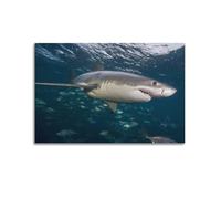 OKNGB Great White Shark Hunting Ocean Predator Poster Poster Decorative Painting Canvas Wall Posters And Art Picture Print Modern Family Bedroom Decor Posters 16x24inch(40x60cm)