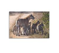 OKNGB Indian Jungle Bengal Tiger Family Habitat Predator Poster Decorative Painting Canvas Wall Posters And Art Picture Print Modern Family Bedroom Decor Posters 20x30inch(50x75cm)