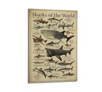 OKNGB Marine Biology Shark Species Guide Poster Poster Decorative Painting Canvas Wall Posters And Art Picture Print Modern Family Bedroom Decor Posters 24x36inch(60x90cm)