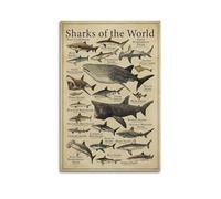 OKNGB Marine Biology Shark Species Guide Poster Poster Decorative Painting Canvas Wall Posters And Art Picture Print Modern Family Bedroom Decor Posters 24x36inch(60x90cm)