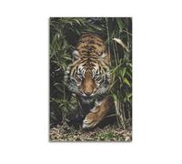 OKNGB Wildlife Siberian Tiger Jungle Predator Poster Poster Decorative Painting Canvas Wall Posters And Art Picture Print Modern Family Bedroom Decor Posters 12x18inch(30x45cm)