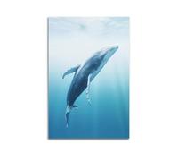 OKNGB Zen Serenity Ocean Poster Whale Humpback Poster Decorative Painting Canvas Wall Posters And Art Picture Print Modern Family Bedroom Decor Posters 16x24inch(40x60cm)