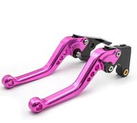 OKNGHPLIU Motorcycle Brake Clutch Lever for Himalayan E5 2021 2022, Cylinder Reservoir Levers Motorbike Handle Assembly Motorcycle Brakes Master,A/Pink 147mm