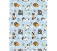 okoikfc Fluffy Throw Blanket Cat Soft Warm Flannel Blanket Throw Cute Animals 3D Fleece Blankets for Bed Couch and Sofa, Throws 70 x 100 cm, for Kids Teens Q266