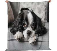 okoikfc Fluffy Throw Blanket Cavalier King Charles Spaniel Soft Warm Flannel Blanket Throw Dog 3D Fleece Blankets for Bed Couch and Sofa, Throws 180 x 200 cm, for Kids Teens Adults Q90