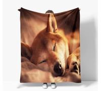 okoikfc Fluffy Throw Blanket Shiba Inu Soft Warm Flannel Blanket Throw Japan 3D Fleece Blankets for Bed Couch and Sofa, Throws 70 x 100 cm, for Kids Teens Q254