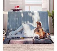okoikfc Jack Russell Terrier Fluffy Throw Blanket, Soft Warm Flannel Print Blanket Throw 3D Dog Fleece Blankets for Bed Couch and Sofa, Kids Teens Adults, 100 x 130 cm