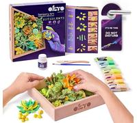 OKTO Art Kit Energy | Succulents Art Set 3D for Home Wall Decor | Craft Kits for Adults and Teen | Craft Box with Modeling Clay for Succulents | Hobby Kits Succulent DIY Kits