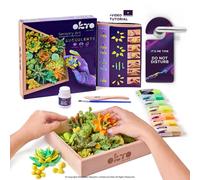 Okto Sensory Art Succulents Kit