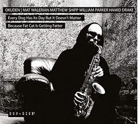 OKUDEN QUARTET FEAT. MAT WALERIAN, MATTH - EVERY DOG HAS ITS DAY BUT IT DOESN'T MATTER BECAUSE FAT CAT IS GETTING FATTER