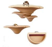 Okueejur 2 Pack Jumping Spider Enclosure Mushroom Ledges with Magnets for Spoods Jumping Spiders Magnetic Ledge Ladder Pet Spider Accessories (beige)