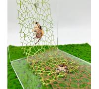 Okueejur 6 PCS Jumping Spider Habitat Accessories-Jumping Spider Webbed Moss Ribbon with Magnets for Spoods Jumping Spider Enclosure Spoods Climbing (3pcs Green + 3pcs Brown)