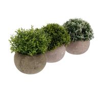OKUMEYR 3pcs Artificial Faux Topiary Shrubs Set Mini Potted Greenery Plants with Four-leaf Clover, Layered Grass, and White-green Fruit Ball for Home Kitchen Office Décor