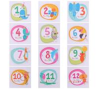 OKUMEYR Creative Newborn Month Sticker Set for Photo Props, Paper Material Monthly Signs for Recording Your Life the First Year, Suitable for Newborn Use and Nursery Accessories