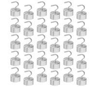 OKUMEYR G Calibration Weights for Laboratory Experiments and General Science Experiments 30pcs with Double-hook Design Iron Material for Secure Weight Placement and Accurate Measurements