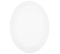 OKUMEYR Oval Oil Painting Frame Canvas Board for Beginner Painters, Small Pre-Stretched Oval Shape Canvas Frame for Oil and Watercolor Painting,