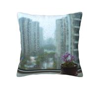 OKVBNUYT The Flowers Next To The Window Fashionable Throw Pillow Cover – Soft 100% Polyester Decorative Throw Pillow With Hidden Zipper And Double-Sided Print For Home And Car Use