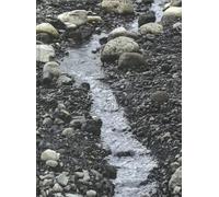 Olafur Eliasson: Riverbed