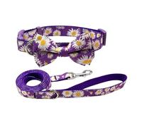 Olahibi Dog Bowtie Collar and Leash Combo Set, Purple Daisy Pattern, Nylon Webbing Plus Cotton Ribbon, 150CM Leash, for Small Dogs.(S, Purple Daisy)