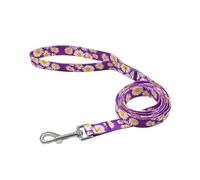 Olahibi Floral Print Polyester Dog Leash, 5ft Durable Pet Leash for Small Dogs, Heavy Duty Webbing, Purple Daisy, Mediunm