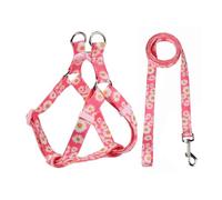 Olahibi Pink Daisy Pattern Basic Dog Halter Harness and Leash Set, No Pull, Easy Wear for Small Dogs.(S, Pink Daisy)