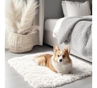 OLANLY 2x3 Machine Washable Small Bedside Rug, Soft Fluffy Shaggy Entryway Throw Rugs for Bedroom, Living Room, Indoor Floor Carpet for Kids Girls and Boys, Nursery Rooms, Home Decor Aesthetic, Ivory