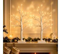 OLANRUN Christmas Decorations, 2Pcs Birch Twig Tree with Lights 48 Warm White LEDs, USB & Battery Operated 2FT White Small Christmas Tree Table Decorations for Home Indoor Office Mantel Windowsill