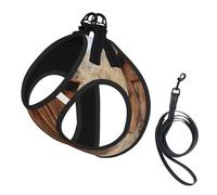 Old Ancient Outhouse Print Harness Leash Set For Cats And Dogs, Reflective Adjustable, Soft Breathable Mesh Vest With Escape-Proof Lead, For Small Pets And Kitten Puppies