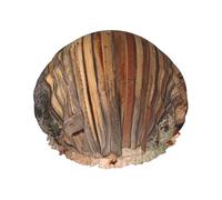 Old Ancient Outhouse Print Premium Double Layer Shower Cap For Women With Reusable Shower Cap For Hair - Waterproof Plastic Cap - Shower Caps For Long, Short And Curly Hairs