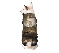 Old Boat Printed Dog Hoodie Soft Dog Sweatshirt Cute Cat Dog Clothes for Small Dogs Kitten Puppy, XL