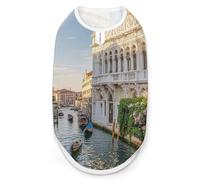 Old Buildings Dog Shirt Quick Dry Breathable Pet T-Shirt Soft Stretchy Sleeveless Vest Dog Apparel M