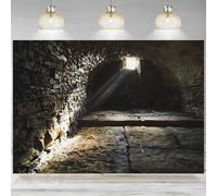 Old Cave Backdrop Medieval Brick Basement Prison Ancient Castle Sunlight Window Photographic Background Party Decorations Bann 350x230cm