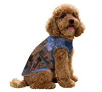 Old City Jerusalem Night Israel Dog Shirt Sleeveless Tshirt Pet Vest L | Ice Silk,Dog Clothes,Lightweight,Pet Tank Top,for Small Medium Dogs Cats,Breathable,for Outdoor Walking Hiking
