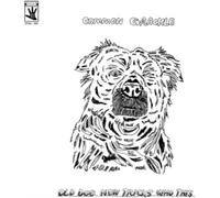 Old Dog New Tricks How This